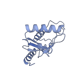 23807_7mey_B_v1-2
Structure of yeast Ubr1 in complex with Ubc2 and monoubiquitinated N-degron