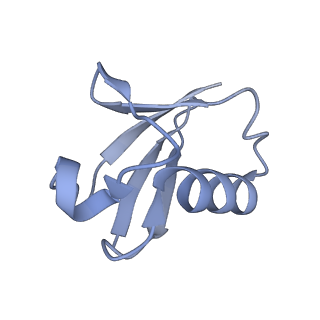 23807_7mey_C_v1-2
Structure of yeast Ubr1 in complex with Ubc2 and monoubiquitinated N-degron