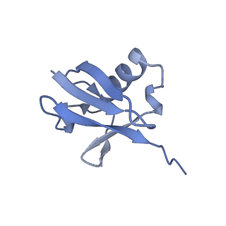 23807_7mey_D_v1-2
Structure of yeast Ubr1 in complex with Ubc2 and monoubiquitinated N-degron