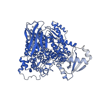 23808_7mez_A_v1-1
Structure of the phosphoinositide 3-kinase p110 gamma (PIK3CG) p101 (PIK3R5) complex