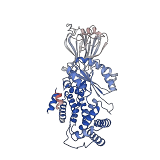 23808_7mez_B_v1-1
Structure of the phosphoinositide 3-kinase p110 gamma (PIK3CG) p101 (PIK3R5) complex