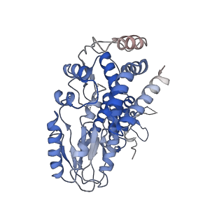 9105_6me0_C_v1-1
Structure of a group II intron retroelement prior to DNA integration
