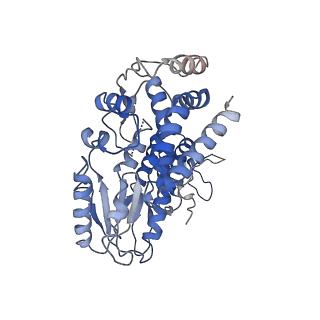 9106_6mec_C_v1-1
Structure of a group II intron retroelement after DNA integration