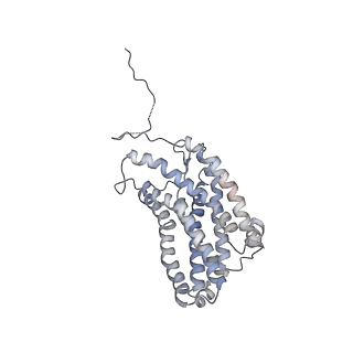 9108_6meo_B_v1-3
Structural basis of coreceptor recognition by HIV-1 envelope spike