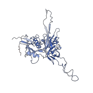 9108_6meo_G_v2-0
Structural basis of coreceptor recognition by HIV-1 envelope spike