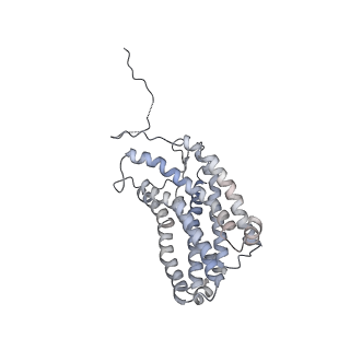 9109_6met_B_v1-3
Structural basis of coreceptor recognition by HIV-1 envelope spike