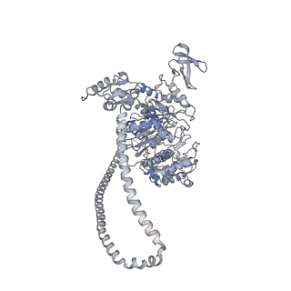 23810_7mf3_A_v1-0
Structure of the autoinhibited state of smooth muscle myosin-2