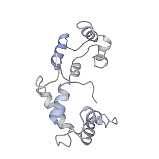 23810_7mf3_D_v1-0
Structure of the autoinhibited state of smooth muscle myosin-2