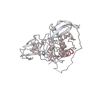 23814_7mfe_A_v1-1
Autoinhibited BRAF:(14-3-3)2 complex with the BRAF RBD resolved