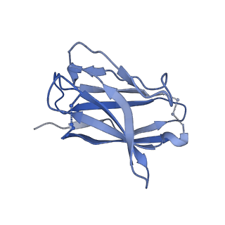 23816_7mfg_E_v1-2
Cryo-EM structure of the VRC310 clinical trial, vaccine-elicited, human antibody 310-030-1D06 Fab in complex with an H1 NC99 HA trimer