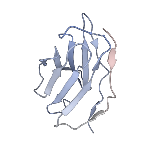 23816_7mfg_F_v1-2
Cryo-EM structure of the VRC310 clinical trial, vaccine-elicited, human antibody 310-030-1D06 Fab in complex with an H1 NC99 HA trimer