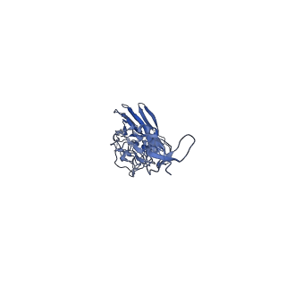 23816_7mfg_G_v1-2
Cryo-EM structure of the VRC310 clinical trial, vaccine-elicited, human antibody 310-030-1D06 Fab in complex with an H1 NC99 HA trimer