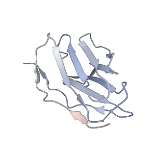 23816_7mfg_K_v1-2
Cryo-EM structure of the VRC310 clinical trial, vaccine-elicited, human antibody 310-030-1D06 Fab in complex with an H1 NC99 HA trimer