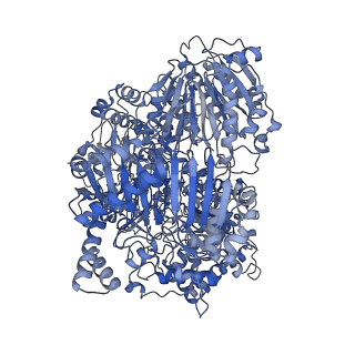 23825_7mft_G_v1-1
Glutamate synthase, glutamate dehydrogenase counter-enzyme complex (GudB6-GltA6-GltB6)
