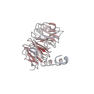 23827_7mge_A_v1-1
Structure of C9orf72:SMCR8:WDR41 in complex with ARF1