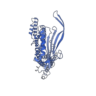 23828_7mgl_A_v1-2
Structure of human TRPML1 with ML-SI3