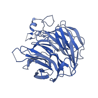 23829_7mgm_C_v1-0
Structure of yeast cytoplasmic dynein with AAA3 Walker B mutation bound to Lis1