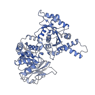 23831_7mgz_F_v1-0
Human CTPS1 bound to UTP, AMPPNP, and glutamine