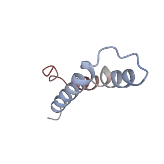 3508_5mgp_Y_v1-2
Structural basis for ArfA-RF2 mediated translation termination on stop-codon lacking mRNAs