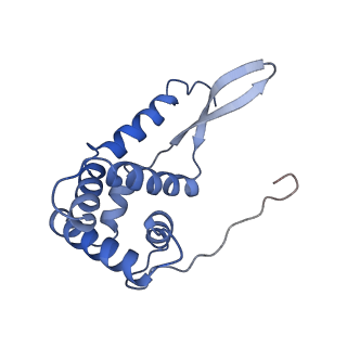 3508_5mgp_g_v1-2
Structural basis for ArfA-RF2 mediated translation termination on stop-codon lacking mRNAs