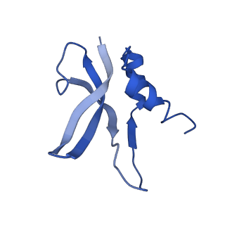 3508_5mgp_p_v1-2
Structural basis for ArfA-RF2 mediated translation termination on stop-codon lacking mRNAs