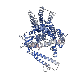 9112_6mgv_A_v1-2
Structure of mechanically activated ion channel OSCA1.2 in nanodisc