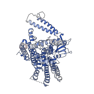 9112_6mgv_B_v1-2
Structure of mechanically activated ion channel OSCA1.2 in nanodisc