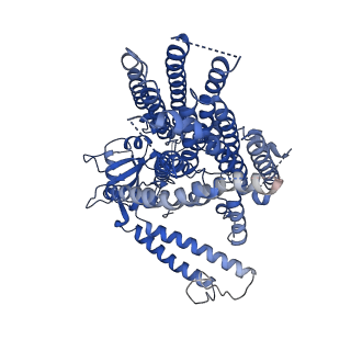 9113_6mgw_A_v1-2
Structure of mechanically activated ion channel OSCA1.2 in LMNG