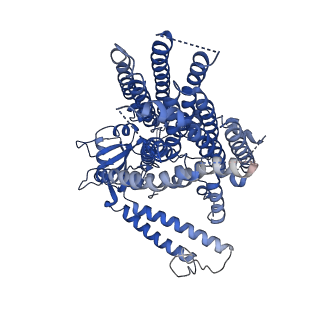 9113_6mgw_A_v1-3
Structure of mechanically activated ion channel OSCA1.2 in LMNG