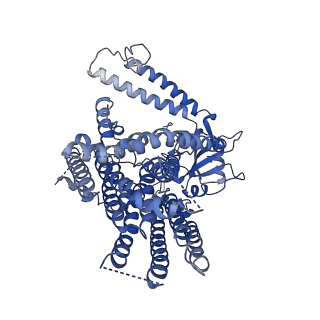 9113_6mgw_B_v1-2
Structure of mechanically activated ion channel OSCA1.2 in LMNG