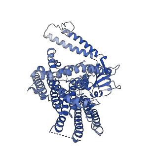 9113_6mgw_B_v1-3
Structure of mechanically activated ion channel OSCA1.2 in LMNG