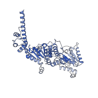 23835_7mhs_A_v1-1
Structure of p97 (subunits A to E) with substrate engaged