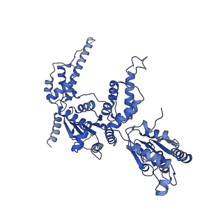 23835_7mhs_B_v1-1
Structure of p97 (subunits A to E) with substrate engaged