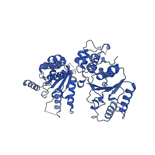 23835_7mhs_C_v1-1
Structure of p97 (subunits A to E) with substrate engaged