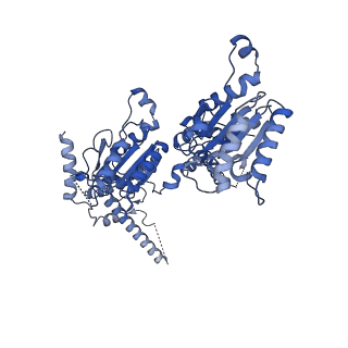 23835_7mhs_D_v1-1
Structure of p97 (subunits A to E) with substrate engaged