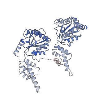 23835_7mhs_E_v1-1
Structure of p97 (subunits A to E) with substrate engaged