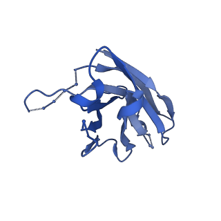 9114_6mhg_J_v1-0
Cryo-EM structure of the circumsporozoite protein of Plasmodium falciparum with a vaccine-elicited antibody reveals maturation of inter-antibody contacts