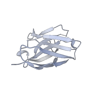 9114_6mhg_M_v1-0
Cryo-EM structure of the circumsporozoite protein of Plasmodium falciparum with a vaccine-elicited antibody reveals maturation of inter-antibody contacts