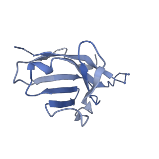 9114_6mhg_O_v1-0
Cryo-EM structure of the circumsporozoite protein of Plasmodium falciparum with a vaccine-elicited antibody reveals maturation of inter-antibody contacts