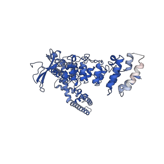 9115_6mho_A_v1-2
Structure of the human TRPV3 channel in the apo conformation