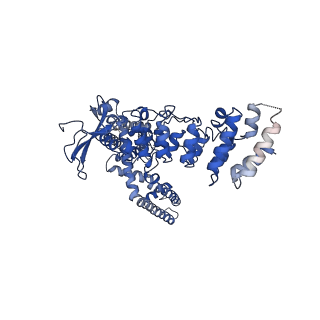 9115_6mho_A_v1-3
Structure of the human TRPV3 channel in the apo conformation