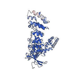 9115_6mho_B_v1-2
Structure of the human TRPV3 channel in the apo conformation