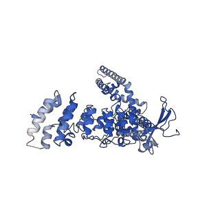 9115_6mho_C_v1-2
Structure of the human TRPV3 channel in the apo conformation