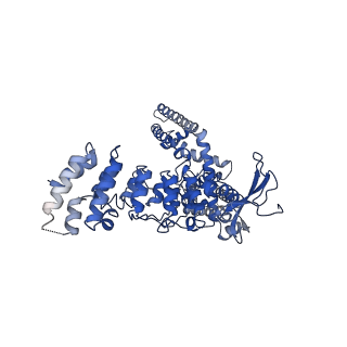 9115_6mho_C_v1-3
Structure of the human TRPV3 channel in the apo conformation