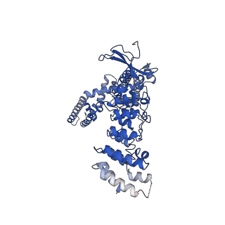 9115_6mho_D_v1-2
Structure of the human TRPV3 channel in the apo conformation