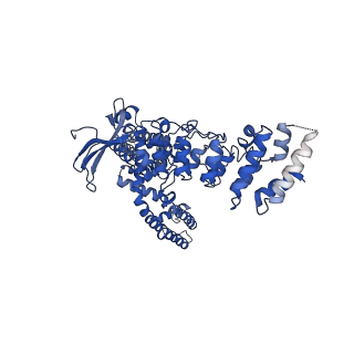 9117_6mhs_A_v1-2
Structure of the human TRPV3 channel in a putative sensitized conformation