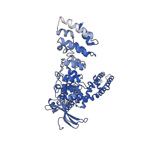 9117_6mhs_B_v1-2
Structure of the human TRPV3 channel in a putative sensitized conformation