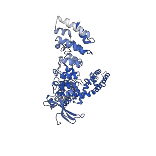 9117_6mhs_B_v1-3
Structure of the human TRPV3 channel in a putative sensitized conformation