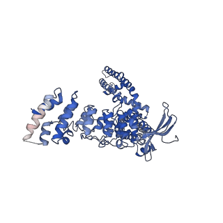 9117_6mhs_C_v1-2
Structure of the human TRPV3 channel in a putative sensitized conformation