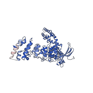 9117_6mhs_C_v1-3
Structure of the human TRPV3 channel in a putative sensitized conformation